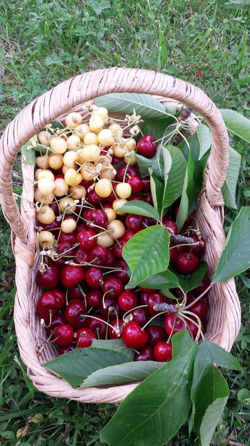 Agriturismo Il Poggiarello 시에나 외부 사진